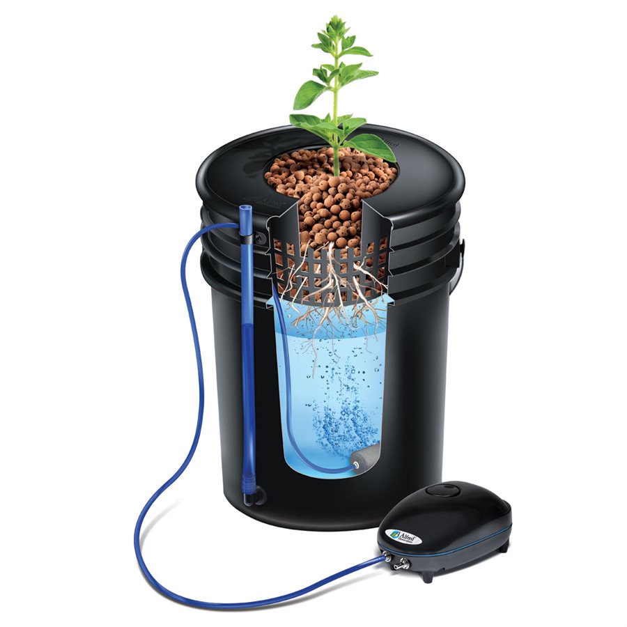 2x Indicateur de niveau d'eau Plantes à fleurs en pot Plantes de